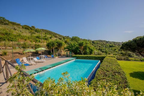 Day, Garden, Garden view, Pool view, Swimming pool, sunbed