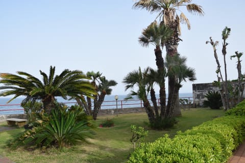 Natural landscape, Garden
