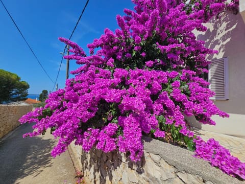 Belvedere Apartment in Zadar County