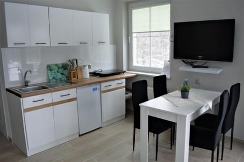 Kitchen or kitchenette, Dining area, oven, pet friendly, stove