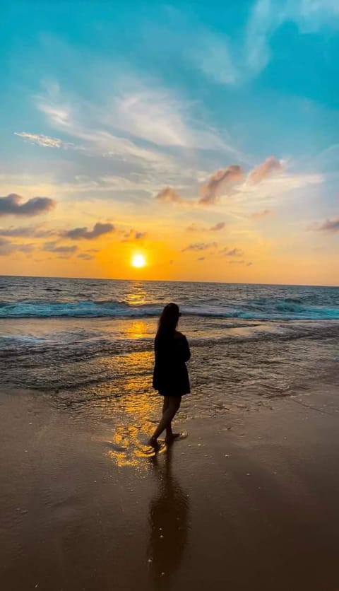 Day, Natural landscape, Beach, Guests, Sunset, children