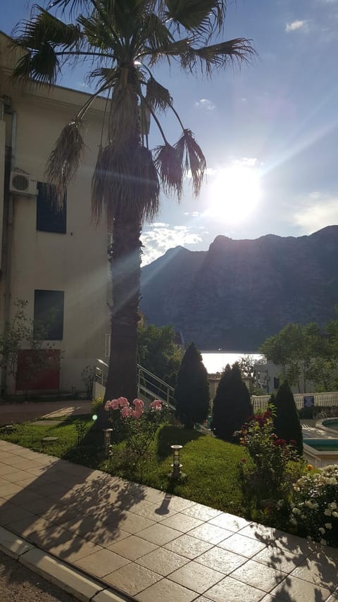 Property view