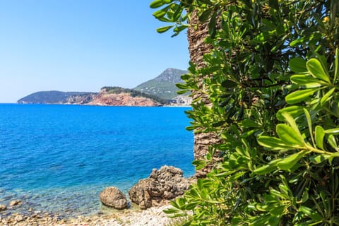 Neighbourhood, Beach, Sea view