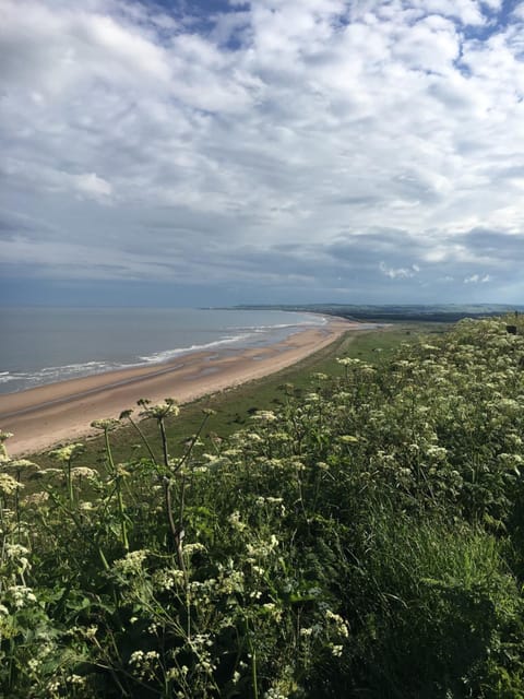 Dunnottar Woods Cottage House in Stonehaven