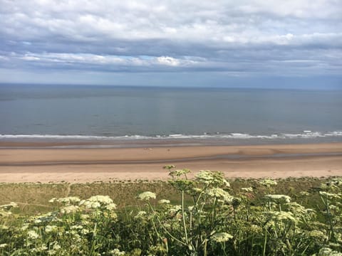 Dunnottar Woods Cottage House in Stonehaven