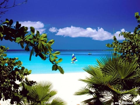 Domus Antiga Appartamenti Apartment in Sardinia