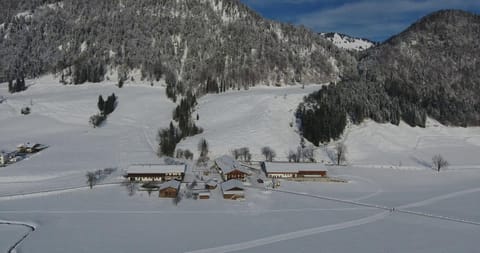 Hacklhof Farm Stay in Salzburgerland