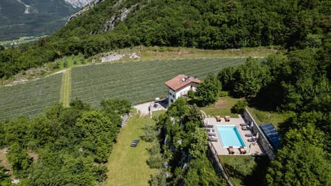 Bird's eye view, Swimming pool