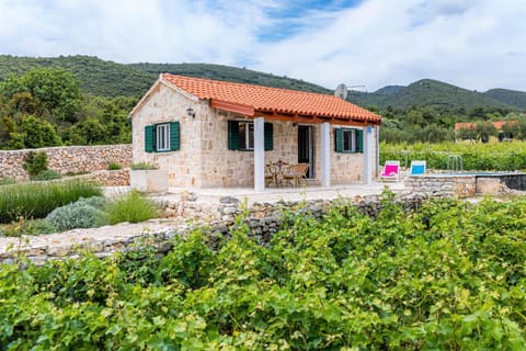 Vineyard House & Olive Grove House House in Račišće