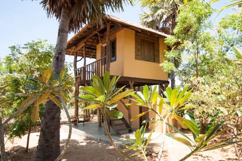 Property building, Garden