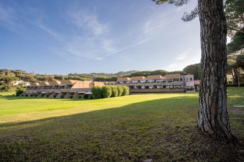 Property building, Garden view