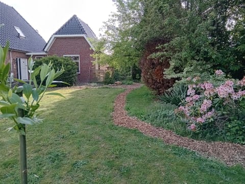 Property building, Day, Garden view