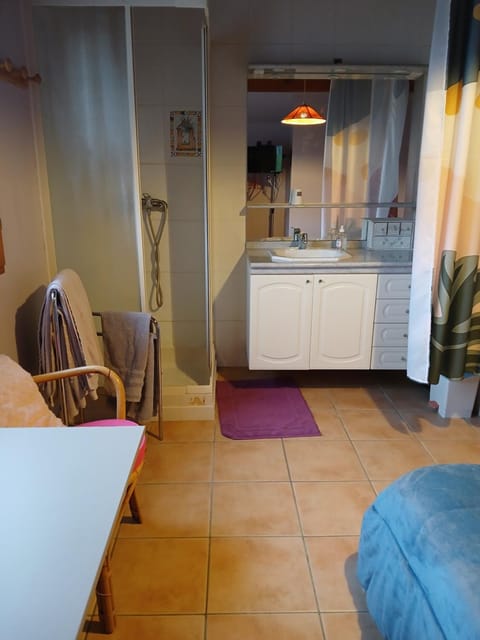 Les Haies Vives Vacation rental in Haute-Savoie