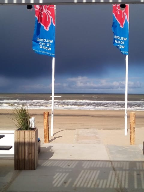 Natural landscape, Beach