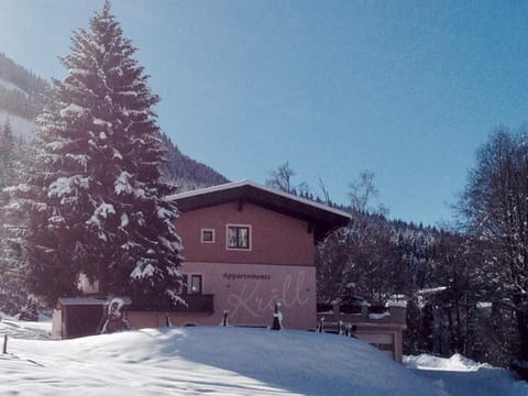 Facade/entrance, Winter
