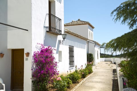 Property building, Mountain view, Area and facilities