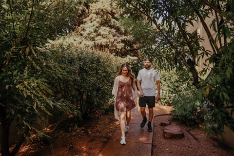 Property building, Garden