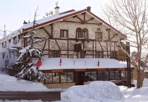 Property building, Winter, Mountain view