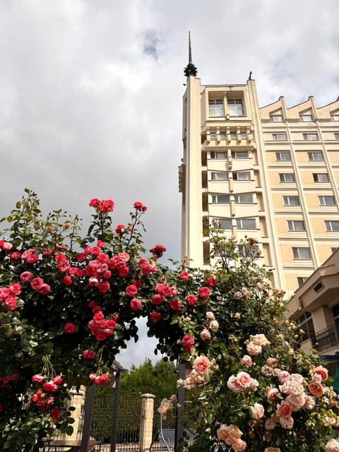 Property building, Garden view