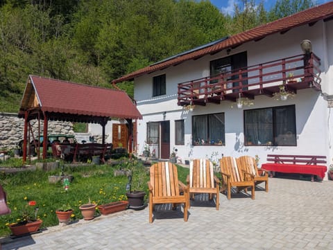Property building, Patio, Spring, Day, Summer