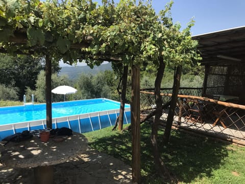Patio, Patio, Garden, Swimming pool