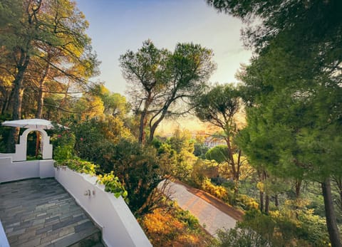 Property building, Day, Natural landscape, Garden view