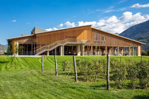 Property building, Day, Natural landscape, Garden, Animals, Mountain view