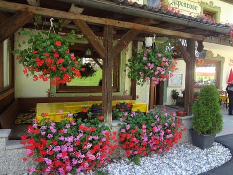 Facade/entrance, Garden