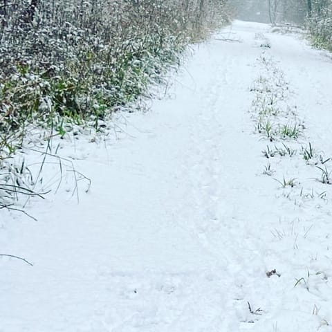 Woodland Lodge Bed and Breakfast in East Hertfordshire District