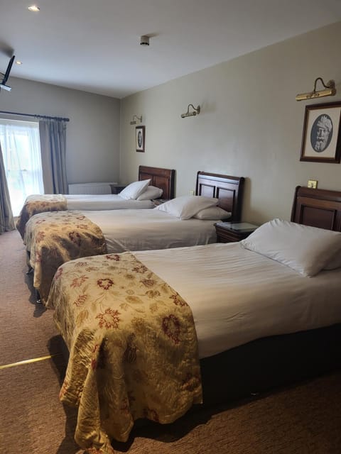 JBs Bar & Guest Accommodation Bed and Breakfast in Kilkenny City