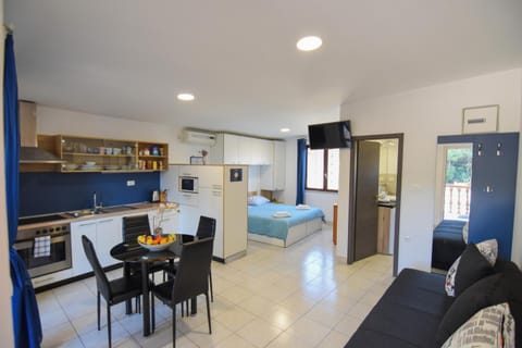 Bed, TV and multimedia, Kitchen or kitchenette, Living room, Seating area, Dining area, Bedroom