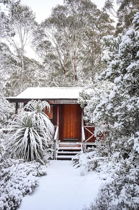 Property building, Day, Natural landscape, Winter