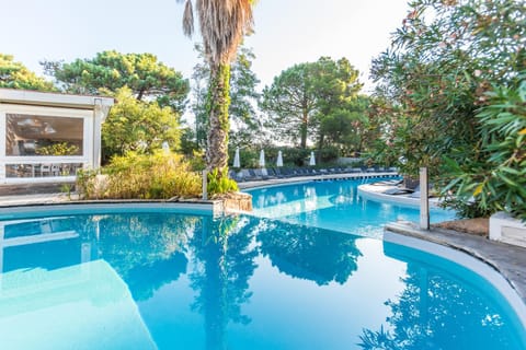 Day, Pool view, Swimming pool, Open Air Bath