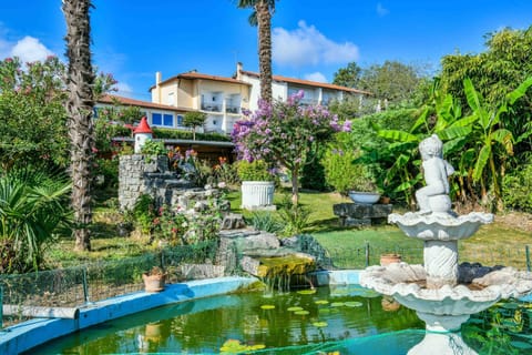 Garden view