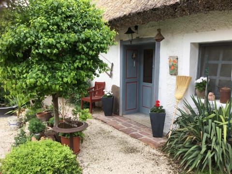 Facade/entrance, Garden