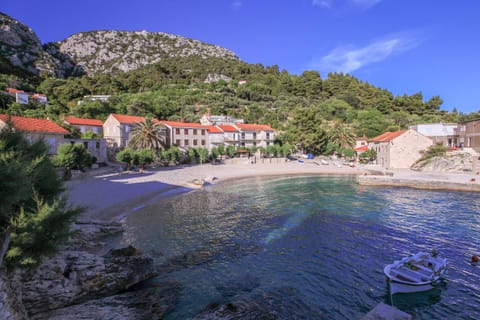 Neighbourhood, Natural landscape, Beach, Beach