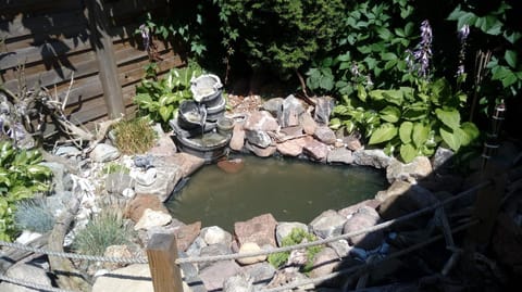 Natural landscape, Garden, Seating area, Garden view