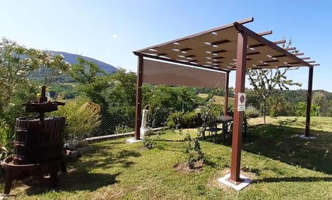 Spring, Day, Natural landscape, Garden, Garden view