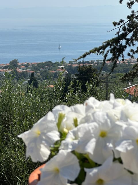 Natural landscape, Sea view