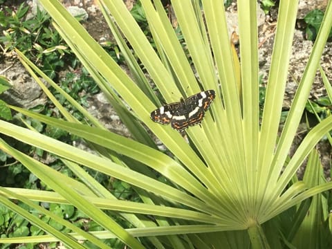 Maisonnette Nantes Bed and Breakfast in Saint-Herblain