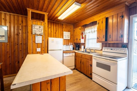 Kitchen or kitchenette, dishwasher, oven, stove