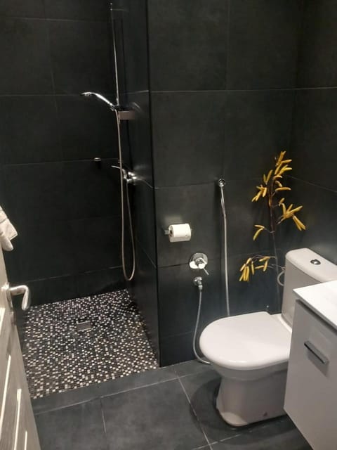 Shower, Toilet