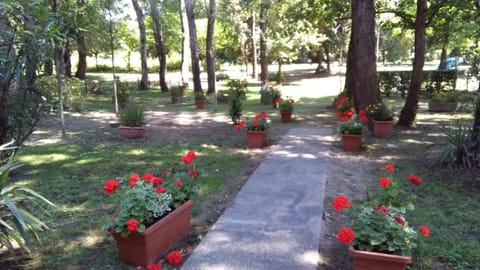 Residence Lagomare Apartment in Emilia-Romagna