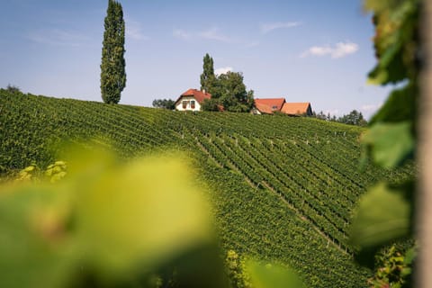 Property building, Day, Natural landscape, Garden