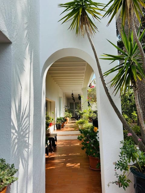 Property building, Breakfast