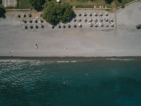Bird's eye view, Garden, View (from property/room), Beach, Beach, Sea view, sunbed, sunbed