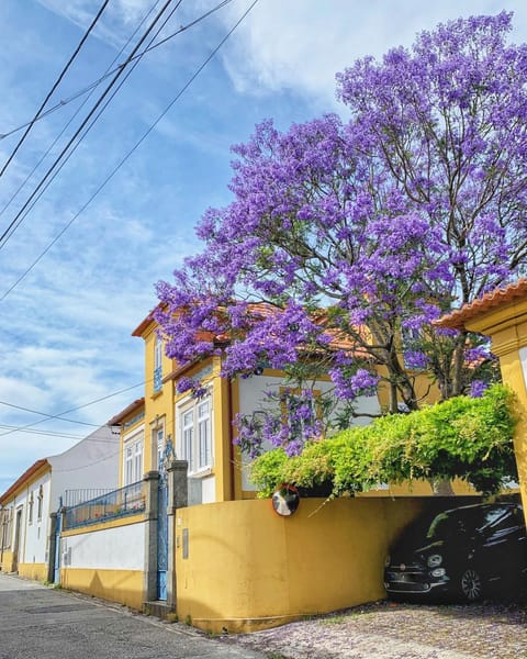 Property building, Spring, Day, Street view, Quiet street view