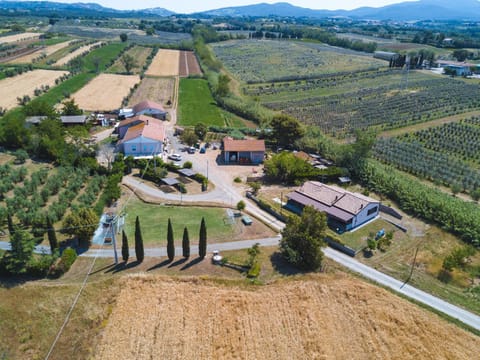 Activities, Bird's eye view, Garden, Table tennis, View (from property/room), Garden view