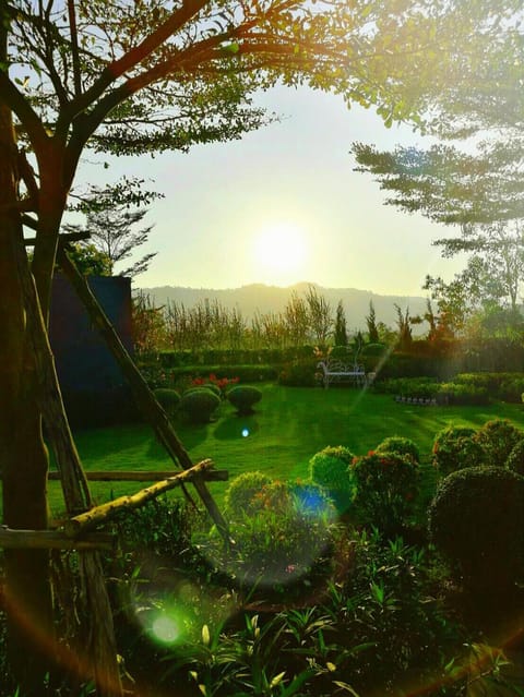 Natural landscape, Garden, Mountain view, Mountain view, Sunset