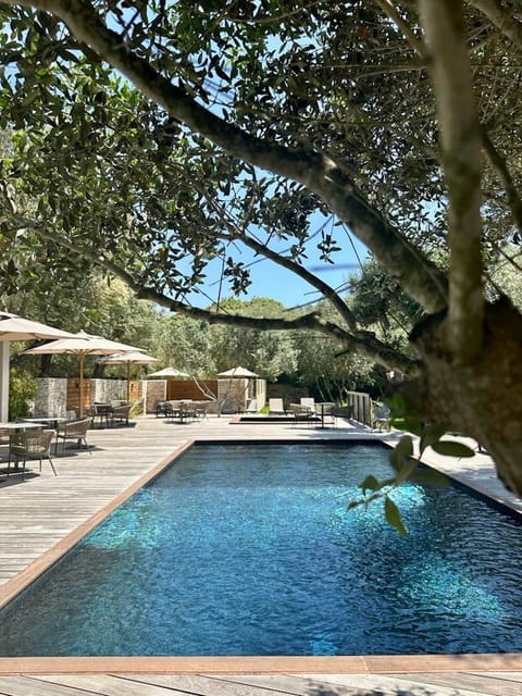 Balcony/Terrace, Swimming pool, sunbed